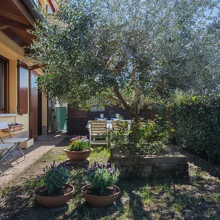 La Sammartina Garden X6 * Chiesol del Fosso